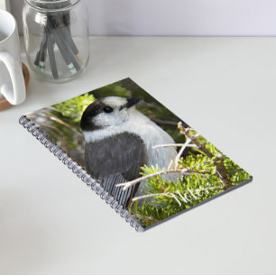 Canada Jay Nature Photo Notebook