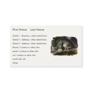 Canada Lynx (Lynx Canadensis) (Canadian Lynx) Business Card