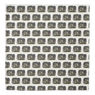 Canada Lynx (Lynx Canadensis) (Canadian Lynx) Duvet Cover
