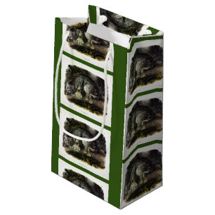 Canada Lynx (Lynx Canadensis) (Canadian Lynx) Small Gift Bag