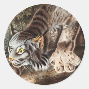 Canada Lynx (Lynx Canadensis) Illustration Classic Round Sticker