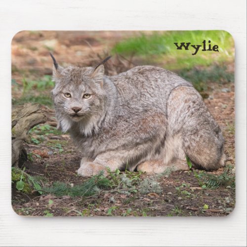 Canada Lynx Nature Lover Custom Name Mouse Pad