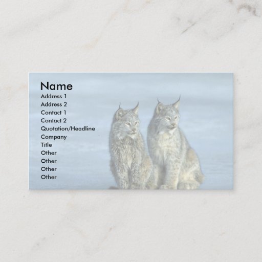 Customizable Canada lynx, winter, pair by icy stream business card templates