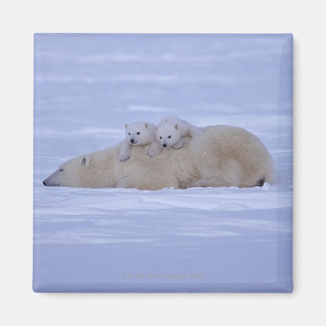 Canada Magnet (Front)