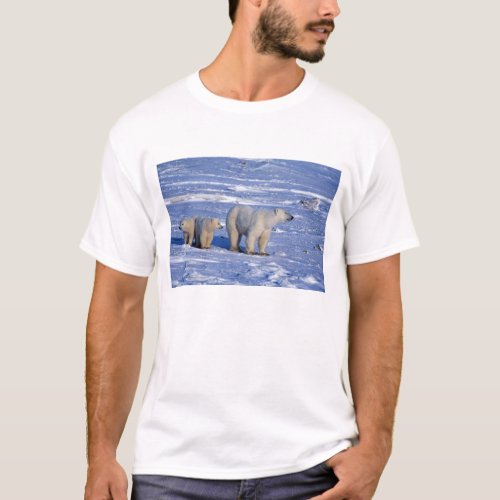 Canada Manitoba Churchill Polar bear mother T_Shirt