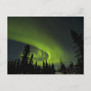 Canada, Manitoba. View of aurora borealis and Postcard