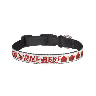 Canada Maple Leaf Collar Canada Dog Souvenir