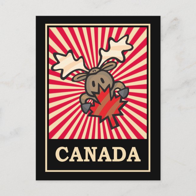 Canada Moose Postcard (Front)