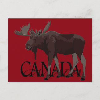 Canada Moose Postcards Canadian Souvenir Postcards