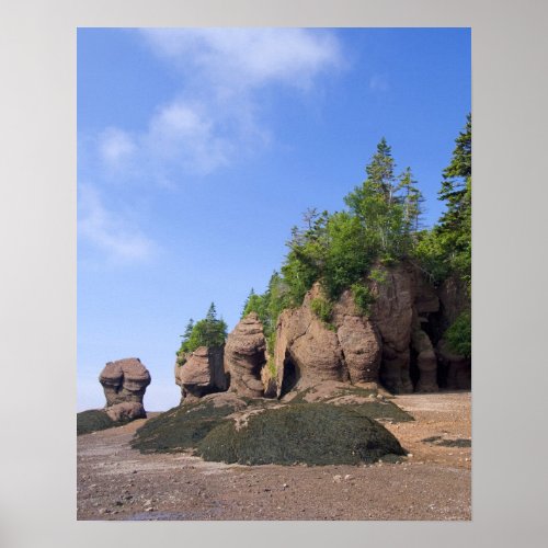 Canada New Brunswick Hopewell Cape Bay of Poster