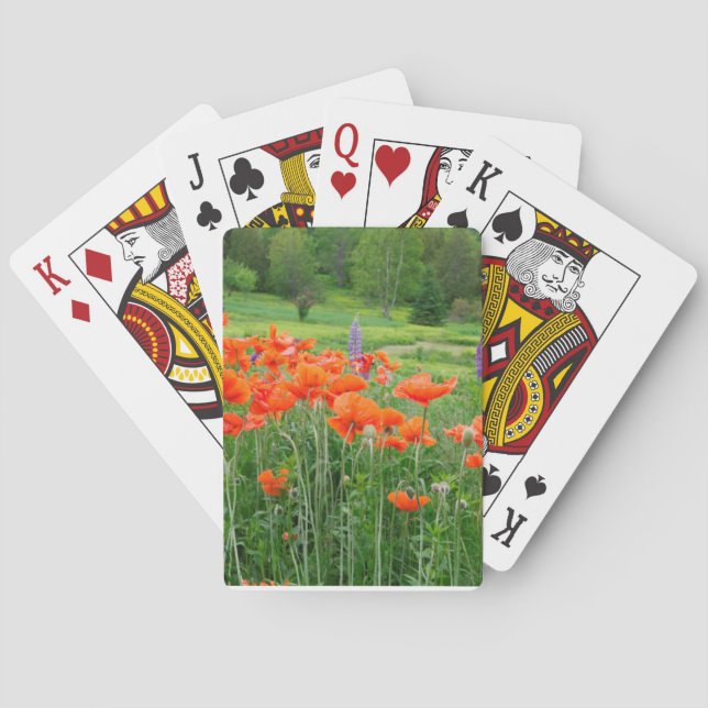 Canada, New Brunswick, . Landscape Poker Cards (Back)