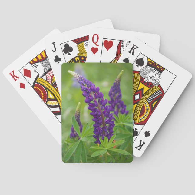 Canada, New Brunswick, . Poker Cards (Back)