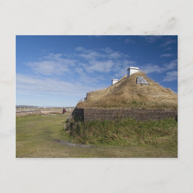 Canada, Newfoundland and Labrador, L'Anse Aux 4 Postcard (Front)