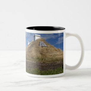 Canada, Newfoundland and Labrador, L'Anse Aux 4 Two-Tone Coffee Mug