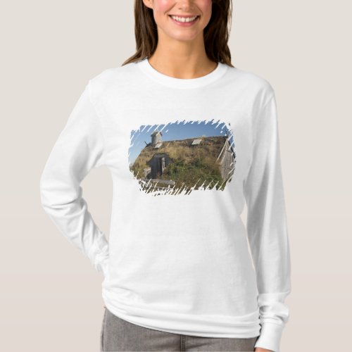 Canada Newfoundland and Labrador LAnse Aux T_Shirt