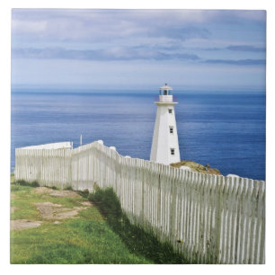 Canada, Newfoundland, Cape Spear National 2 Tile