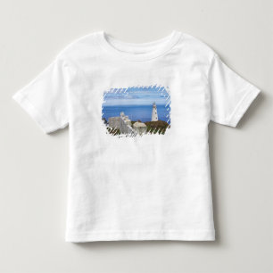 Canada, Newfoundland, Cape Spear National 3 Toddler T-shirt