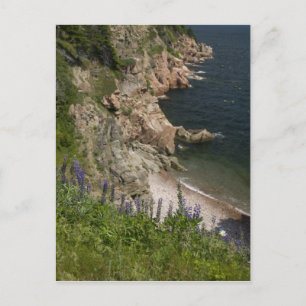 Canada, Nova Scotia, Cape Breton Island, Cabot 3 Postcard