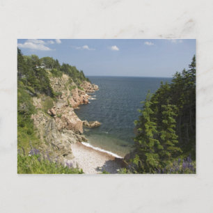 Canada, Nova Scotia, Cape Breton Island, Cabot Postcard