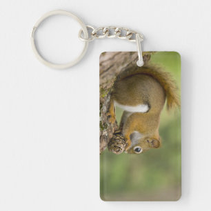 Canada, Nova Scotia, Halifax. Public Gardens, Keychain