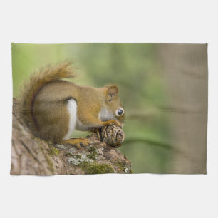 Canada, Nova Scotia, Halifax. Public Gardens, Kitchen Towel