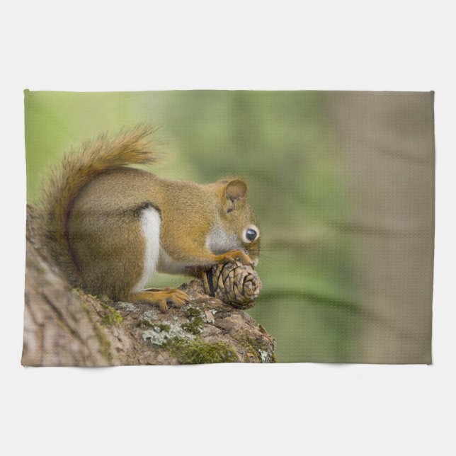 Canada, Nova Scotia, Halifax. Public Gardens, Kitchen Towel (Horizontal)
