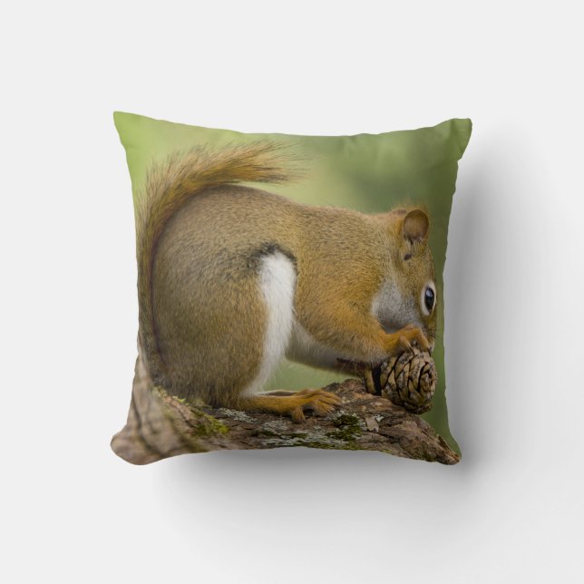 Canada, Nova Scotia, Halifax. Public Gardens, Throw Pillow (Front)