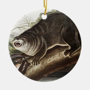 Canada Otter (Lutra Canadensis) Illustration Ceramic Ornament