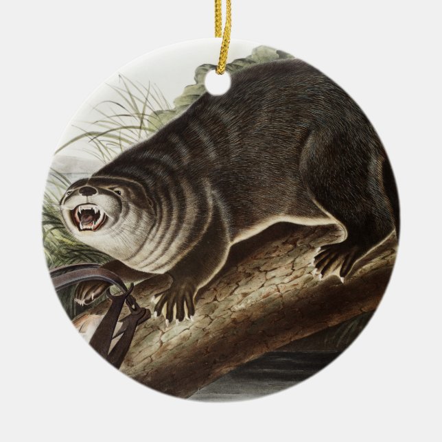 Canada Otter (Lutra Canadensis) Illustration Ceramic Ornament (Front)