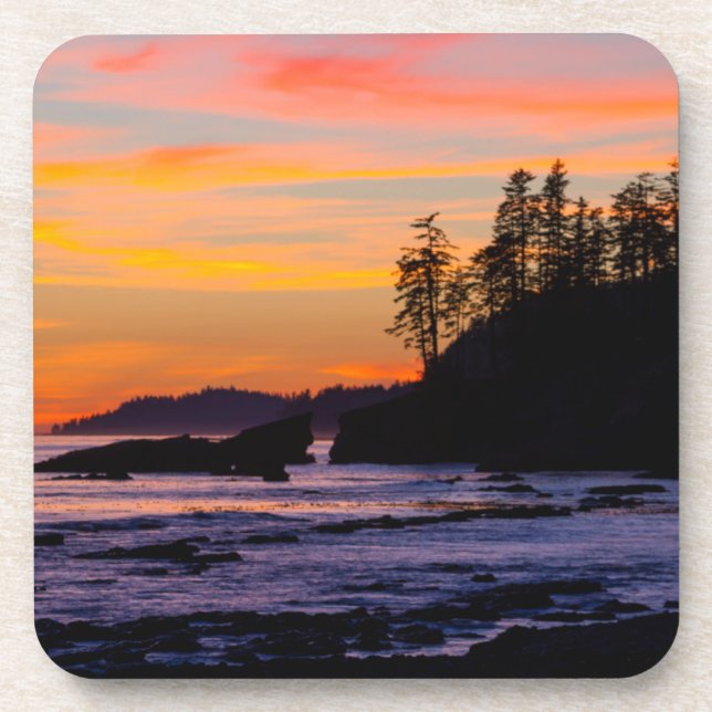 Canada, Pacific Rim National Park Reserve, West Coaster (Front)