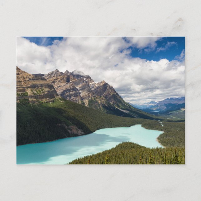 Canada - Peyto Lake postcard (Front)
