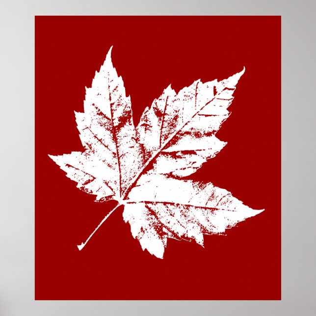Canada Poster Canada Maple Leaf Souvenir Print (Front)