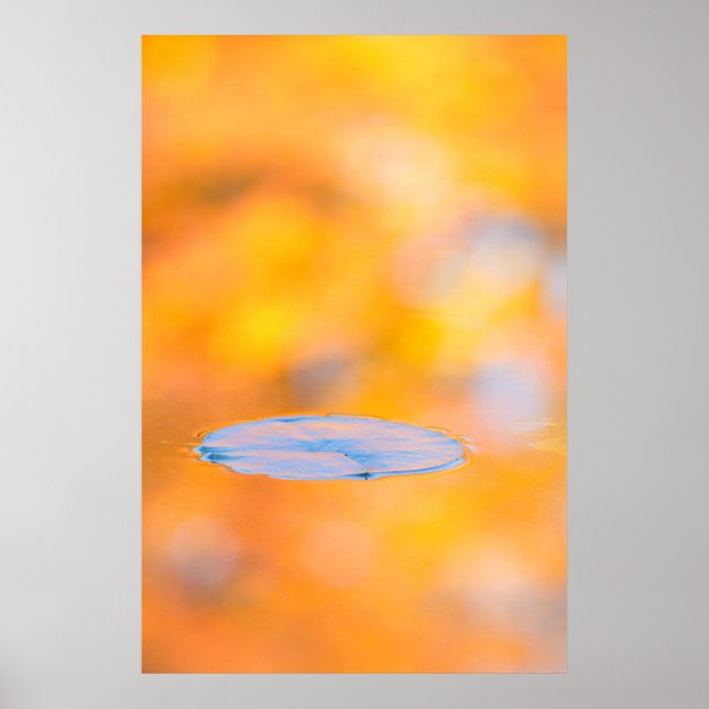 Canada, Quebec | Mount St-Bruno Conservation Park Poster (Front)