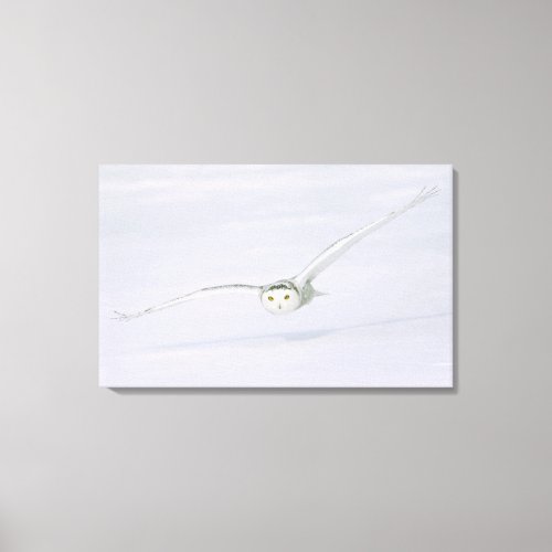 Canada Quebec Snowy owl flies low over snow Canvas Print