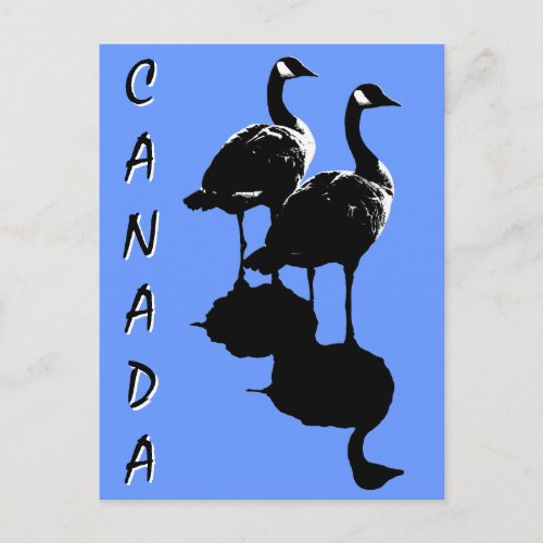 Canada Souvenir Postcards Canada Geese Cards