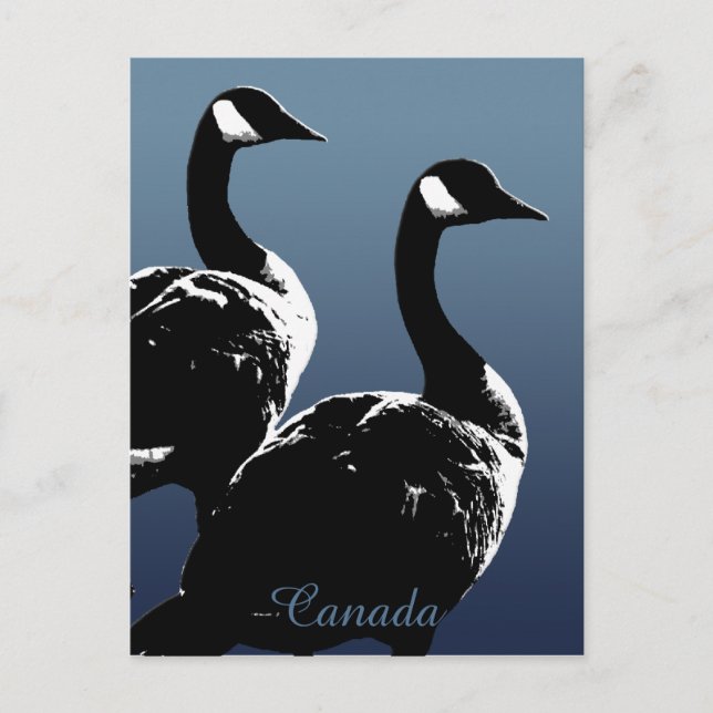Canada Souvenir Postcards Canada Geese Cards (Front)