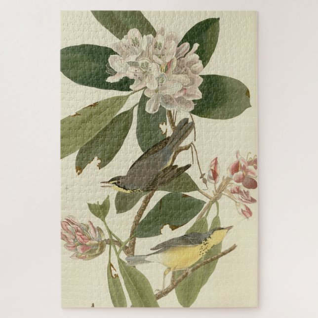 Canada Warbler from Audubon's Birds of America Jigsaw Puzzle (Vertical)