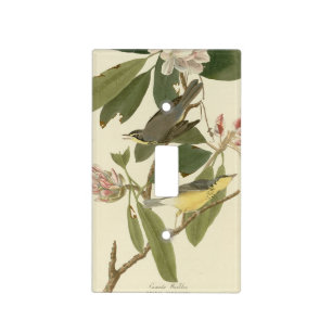 Canada Warbler from Audubon's Birds of America Light Switch Cover