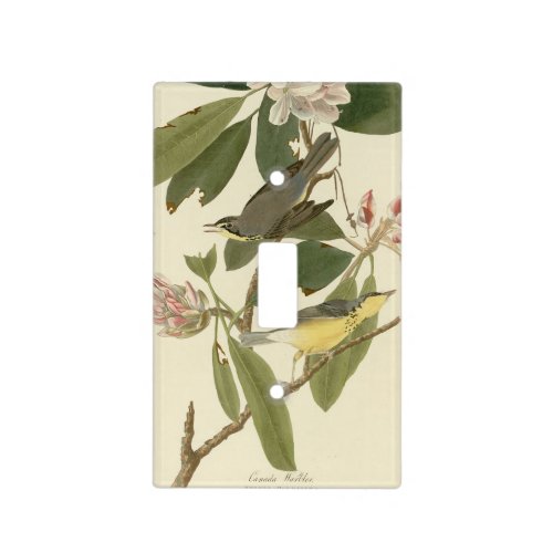 Canada Warbler from Audubons Birds of America Light Switch Cover