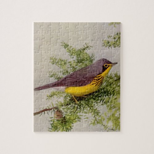 Canada Warbler Painting by Louis Agassiz Fuertes Jigsaw Puzzle