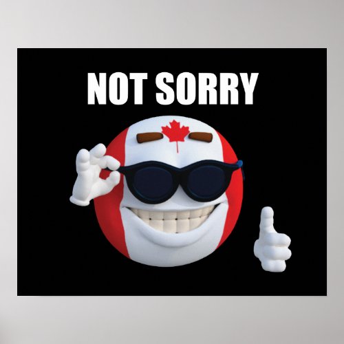 CanadaBall PolandBall Meme ball NOT SORRY Poster