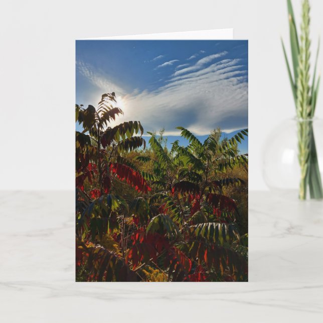 Canadian Autumn Colors Blank Card (Front)