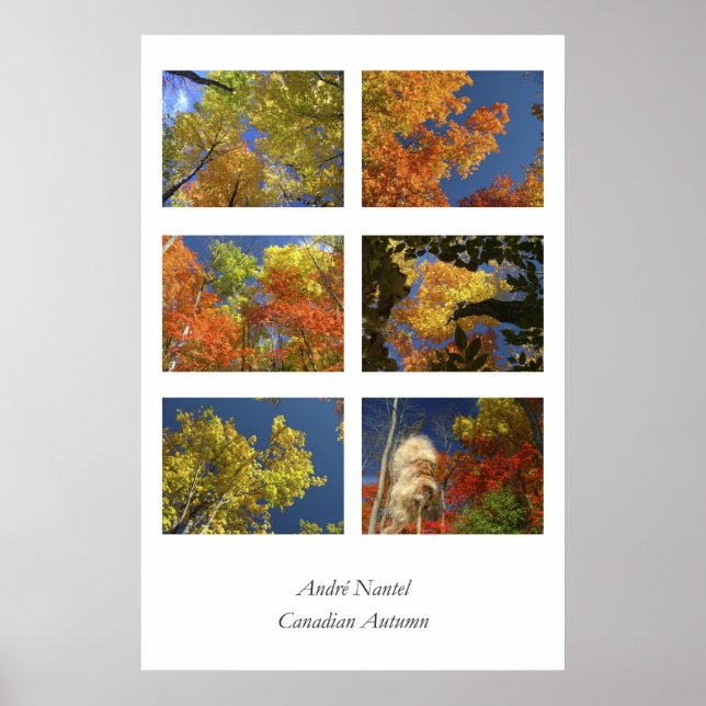 Canadian Autumn Poster (Front)