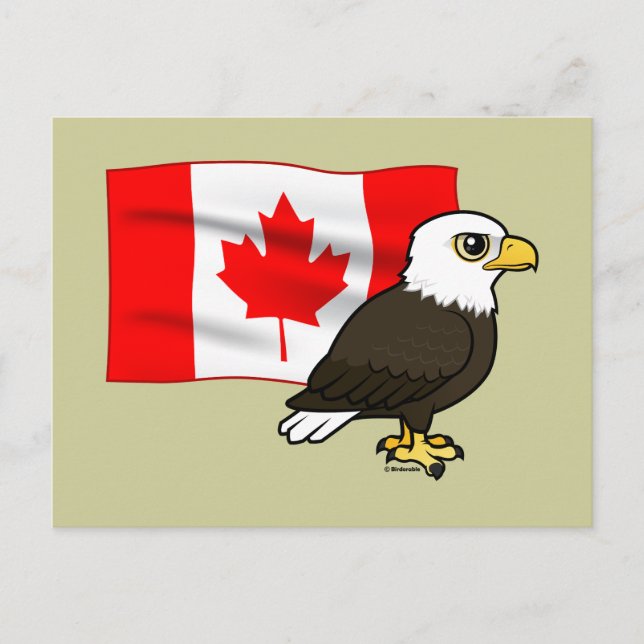 Canadian Bald Eagle Postcard (Front)