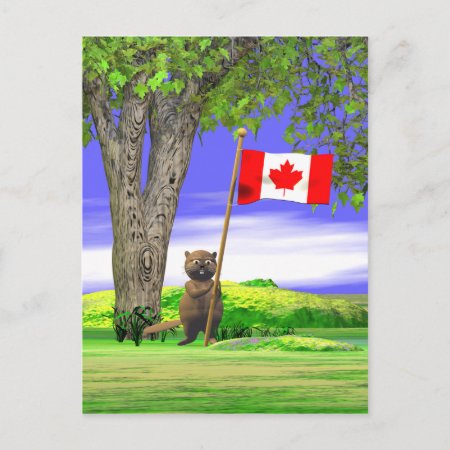 Canadian Beaver And Flag Postcard