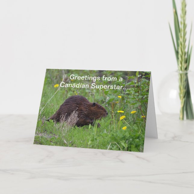 Canadian Beaver Funny Wildlife Greeting Card (Front)