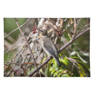 Canadian Bird, Brown Bohemian Waxwing Photography Cloth Placemat