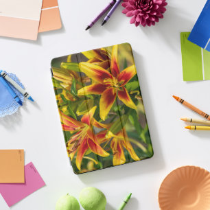 Canadian Daylily, Orange Flower Photography Print iPad Pro Cover