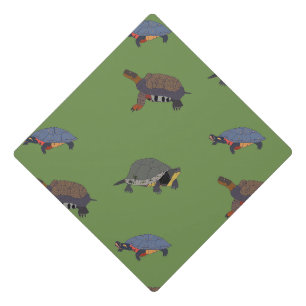 Canadian Endangered Turtles cap topper