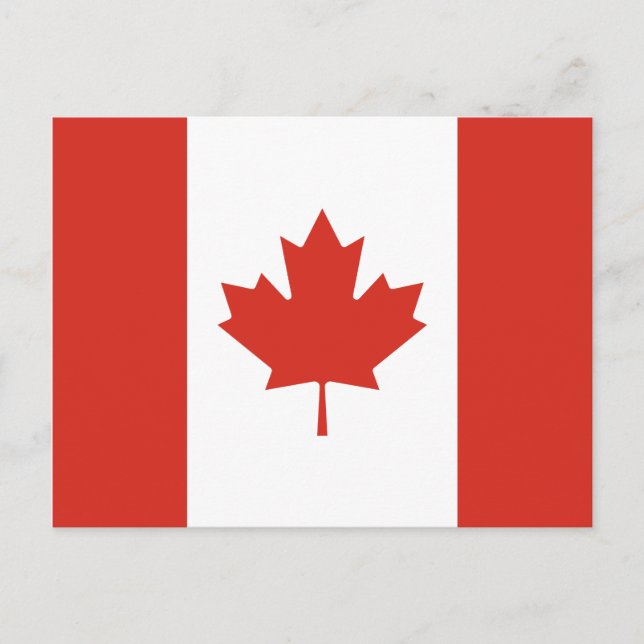 Canadian Flag (Maple Leaf) (Canada) Postcard (Front)